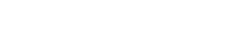 pistis shop